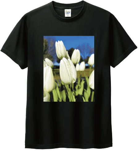 解像度が高いデータ