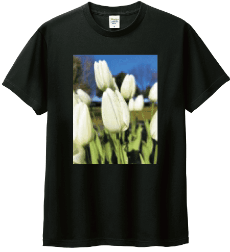 解像度が低いデータ