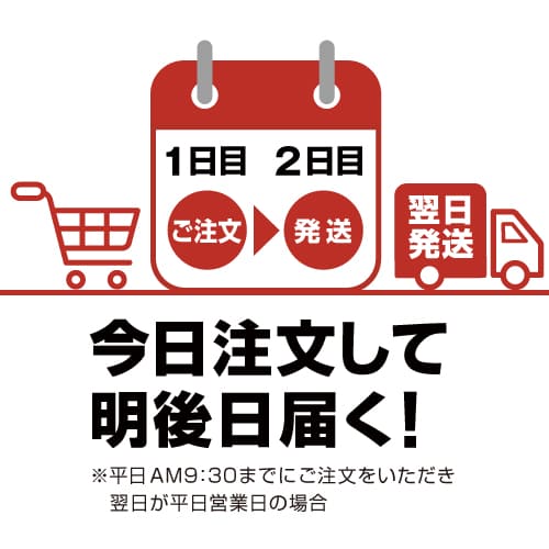 最短翌日発送
