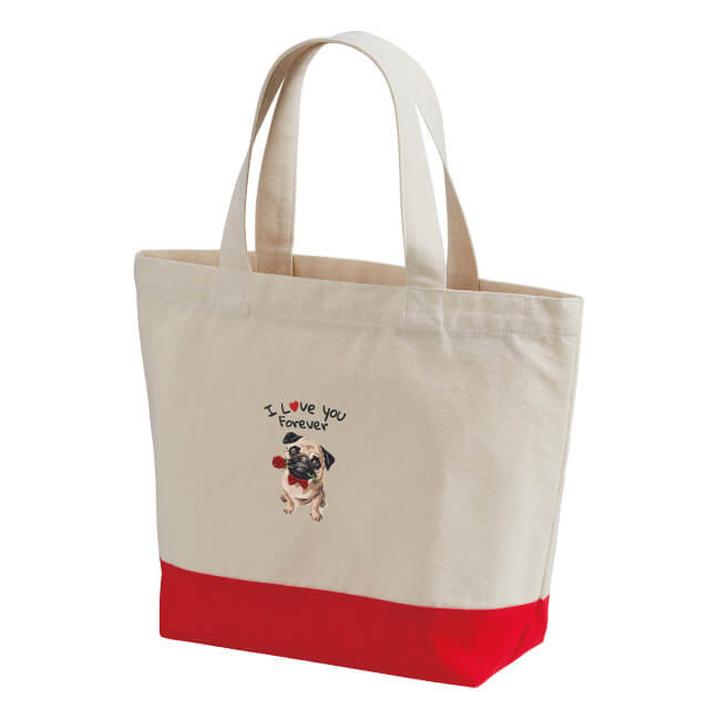 キャンバス切り替えトート(S)