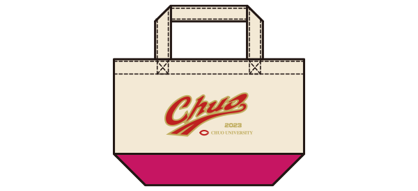 バイカラーキャンバストートSの商品レビュー画像