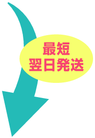 最短翌日発送の流れ
